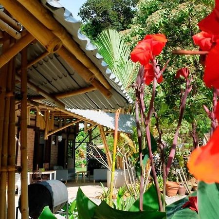Bamboo Cottage Langkawi Pantai Cenang  Exterior photo